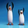 Dancing Penguins