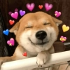 Smiling Dog with Hearts